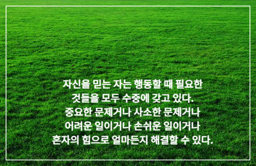 초록 잔디