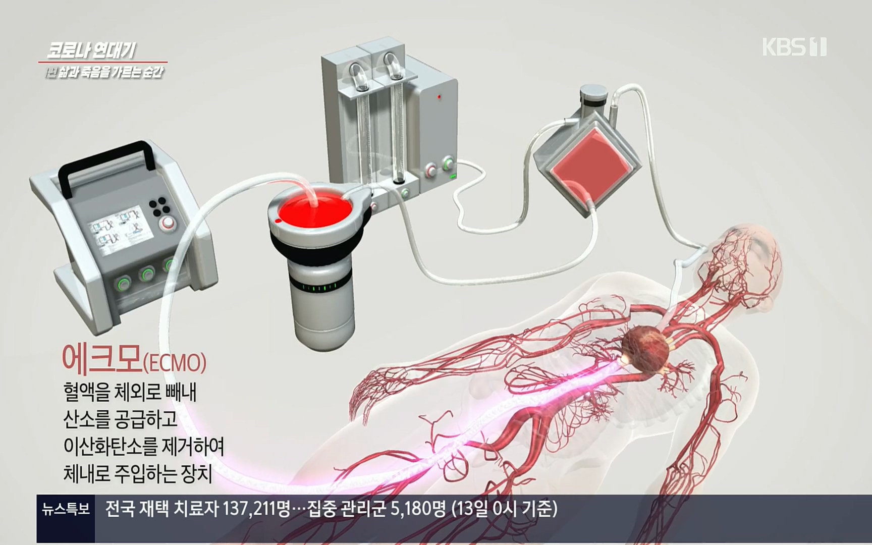 생로병사의 비밀.E826.220713p.H264-F1RST.mp4_20220714_181445.538.jpg
