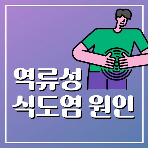 역류성식도염 원인