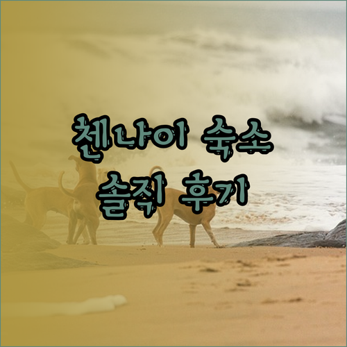 첸나이 밀라포르 숙소 추천 D 앤드 