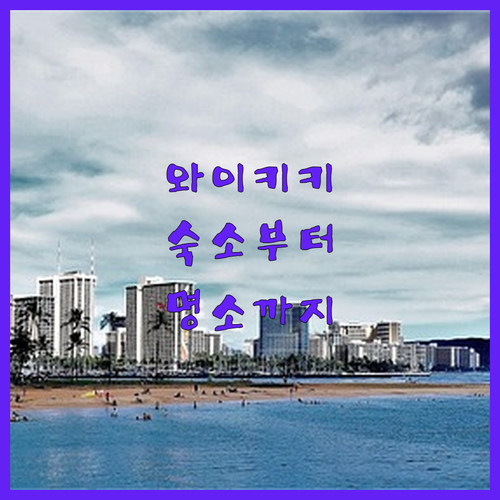 와이키키 비치 완벽 분석 숙소 규정부