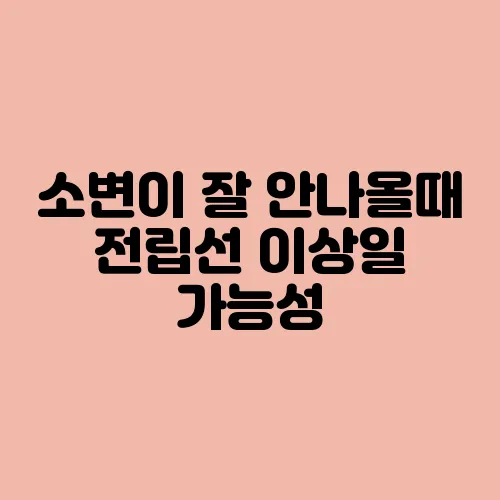 소변이 잘 안나올때 전립선 이상일 가능성