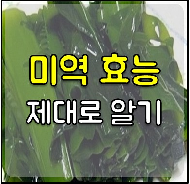 미역 효능 (1)