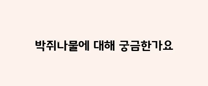 박쥐나물 효능, 부작용 및 먹는법