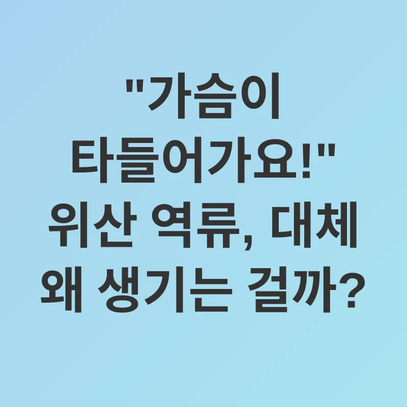 위산 역류 완화_1
