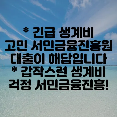* 긴급 생계비 고민 서민금융진흥원 대출이 해답입니다
* 갑작스런 생계비 걱정 서민금융진흥!