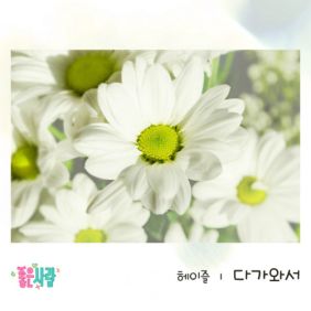  헤이즐 다가와서 듣기/가사/앨범/유튜브/뮤비/반복재생/작곡작사