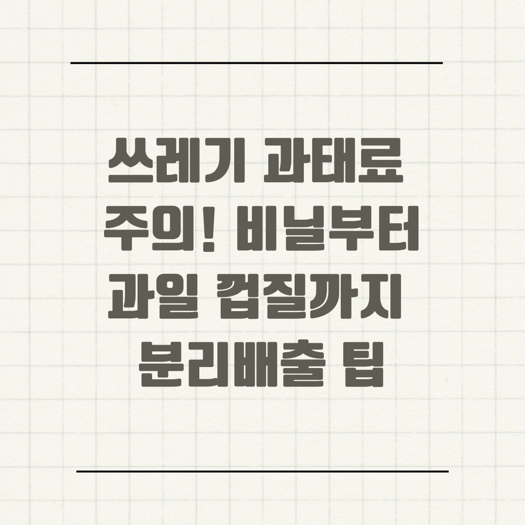 쓰레기 과태료 주의! 비닐부터 과일 껍질까지 분리배출 팁