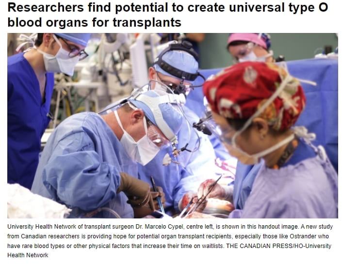  캐나다 연구팀, 모든 혈액형 이식 가능한 '장기' 개발  Researchers find potential to create universal type O blood organs for transplants