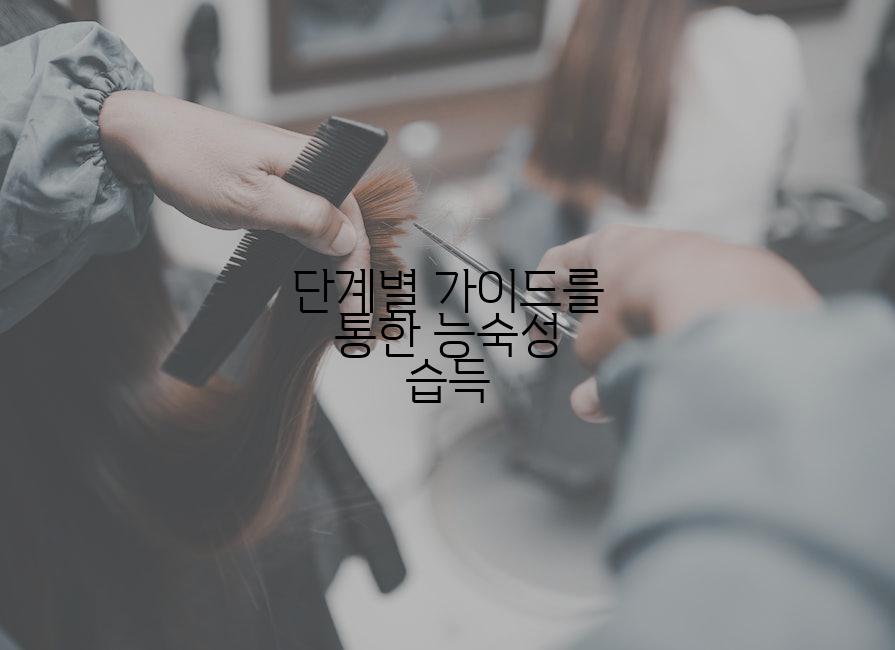 단계별 가이드를 통한 능숙성 습득