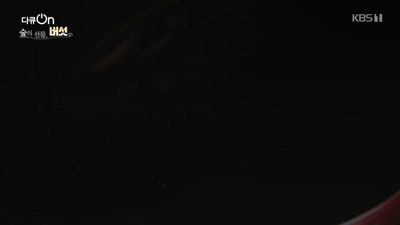 다큐 온.E227.231120p-NEXT.mp4_20231121_203702.945.jpg