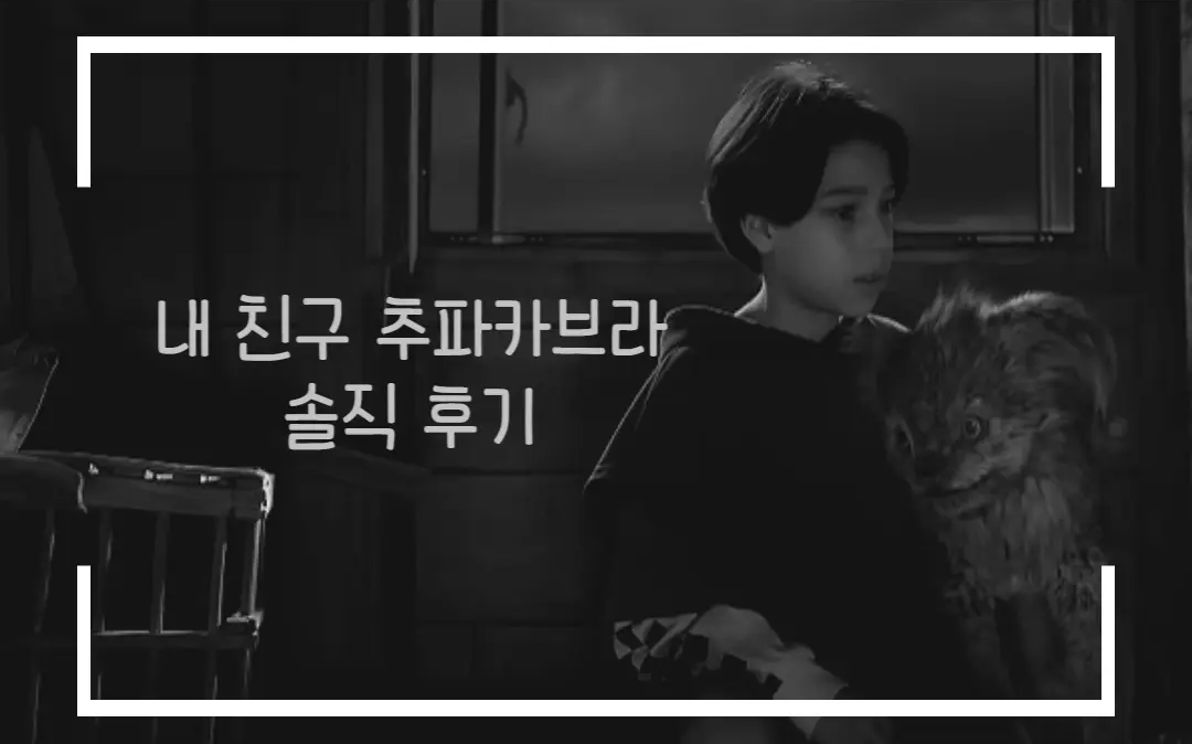  내 친구 추파카브라 솔직 후기 정보