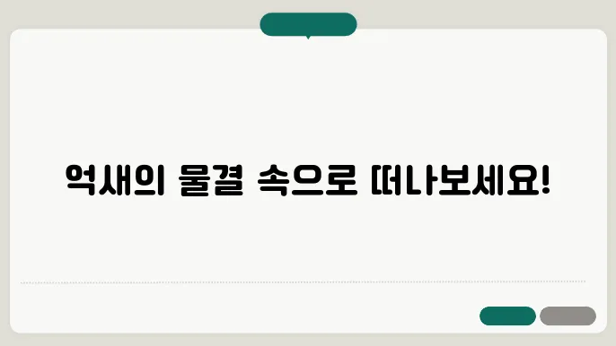 가을 제철 억새꽃으로 가득한 민 둥산