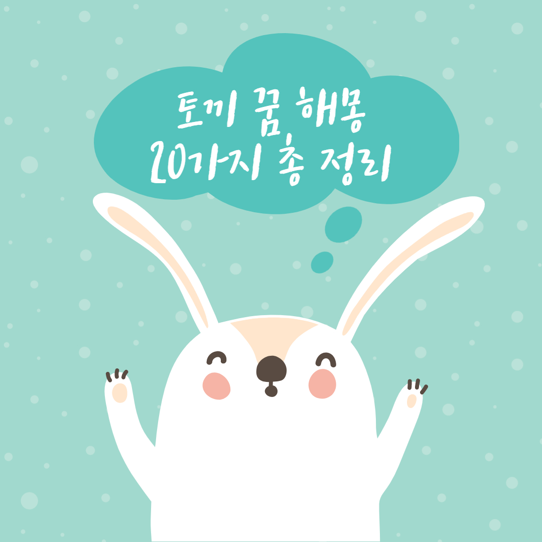  토끼 꿈 해몽 20가지 정리 길몽, 흉몽은?