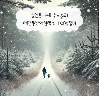 수도권 애견동반 여행지 5선 완벽 가이드 반려견 동반 산책 주말 여행지 추천_24