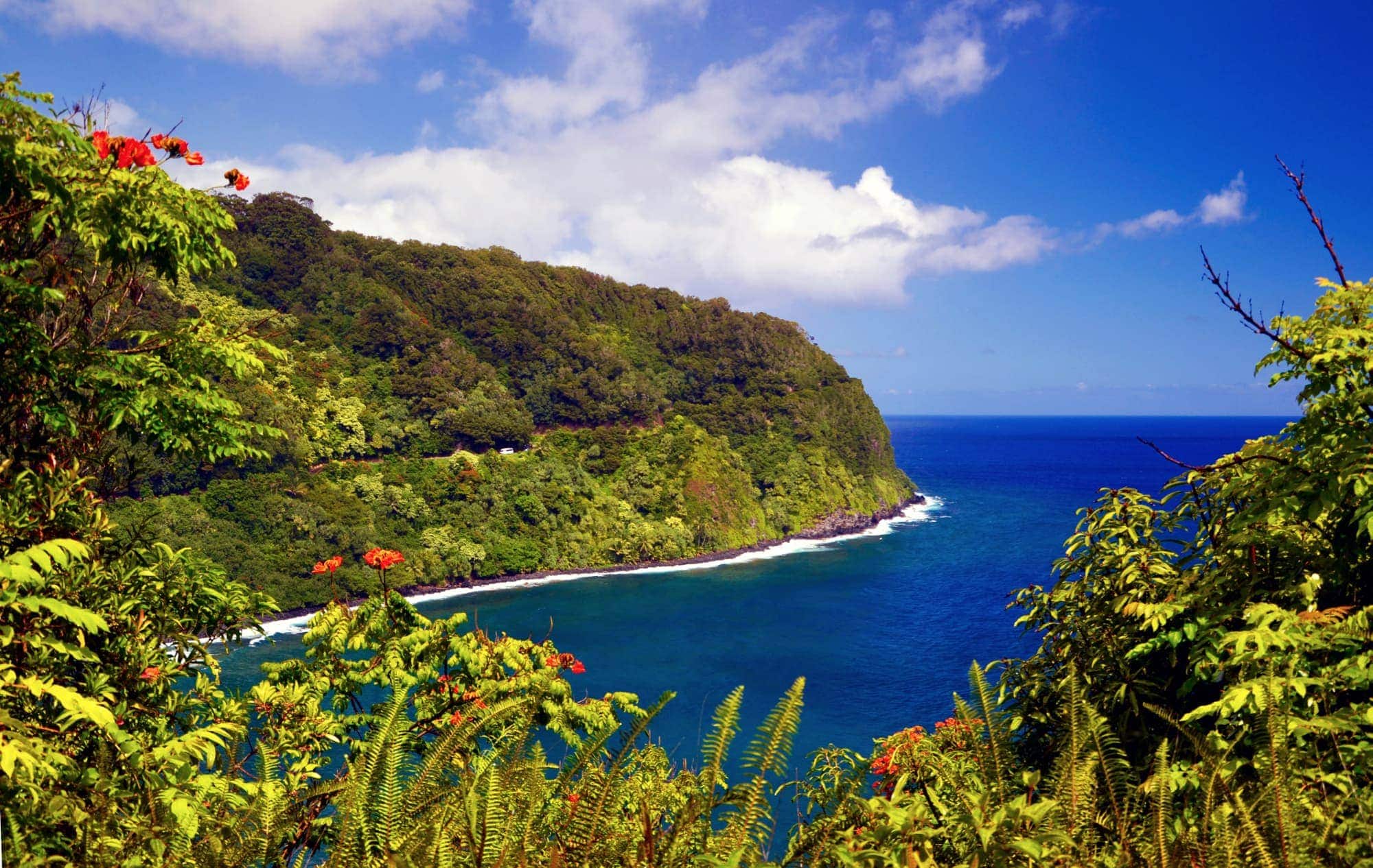 하와이 마우이 섬