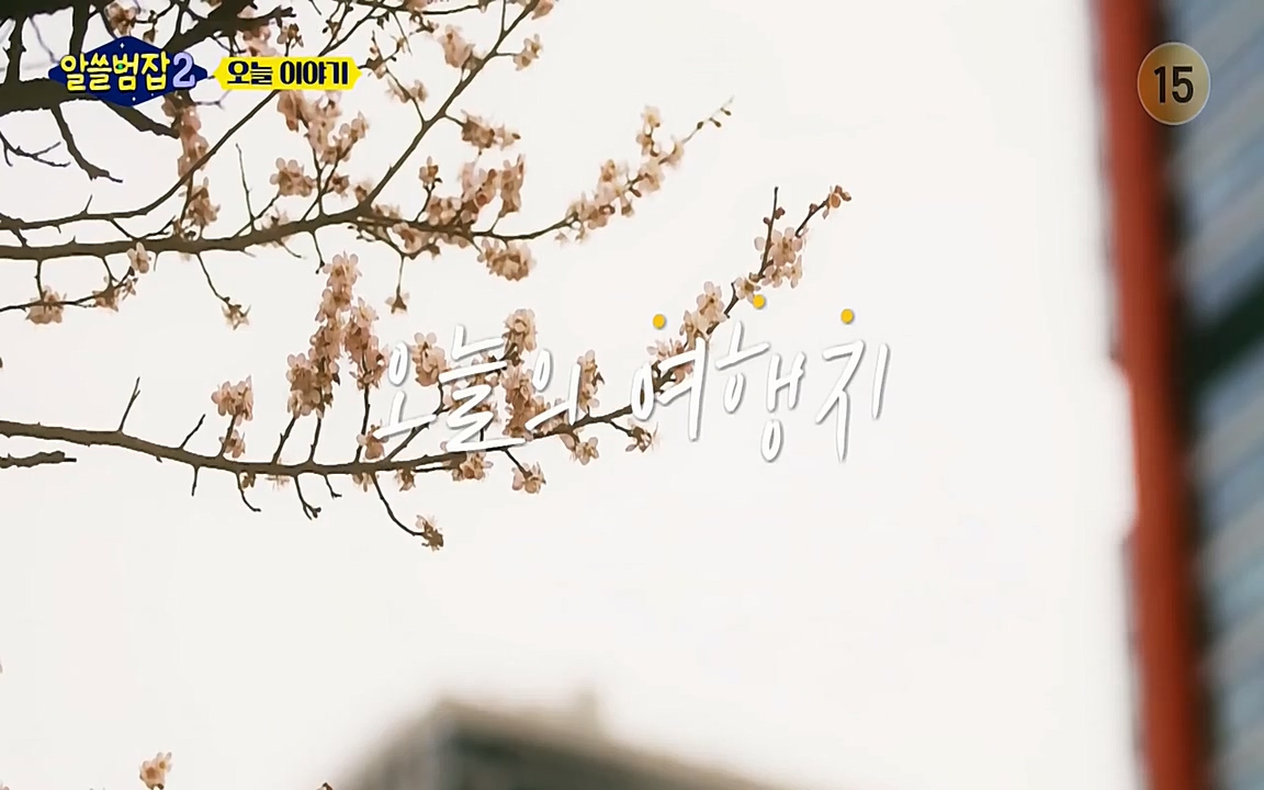 알쓸범잡 2.E13.220411p-NEXT.mp4_20220412_202427.391.jpg