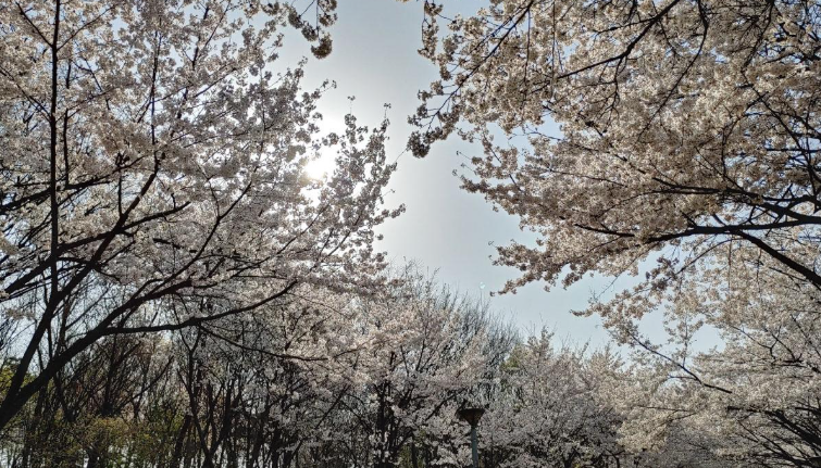 서울숲 & 성수동