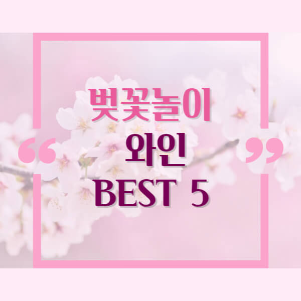 벚꽃놀이 와인 BEST 5 타이틀