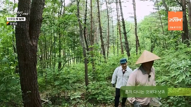 나는 자연인이다.E558.230615p-NEXT.mp4_20230615_200815.611.jpg