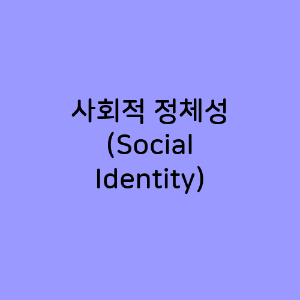 사회적 정체성 (Social Identity)