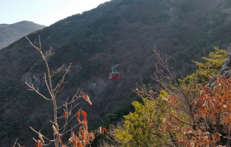 앞산 케이블카