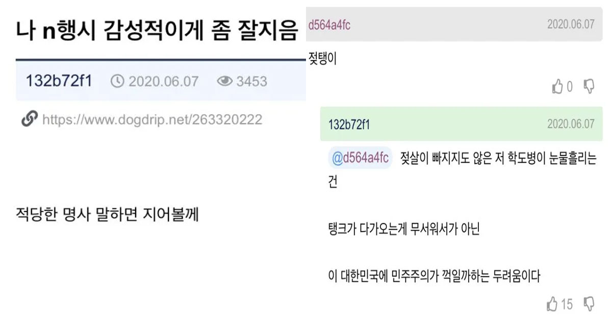  뭐든지 N행시가 가능하다는 N행시 장인 클라스 ㄷㄷ