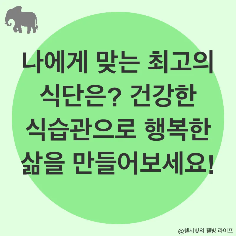 건강한 식단_1_subsection