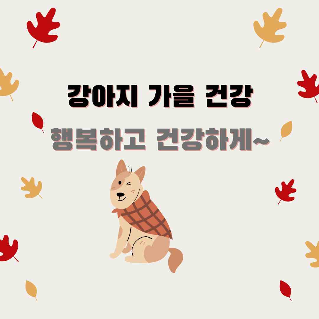 가을 강아지