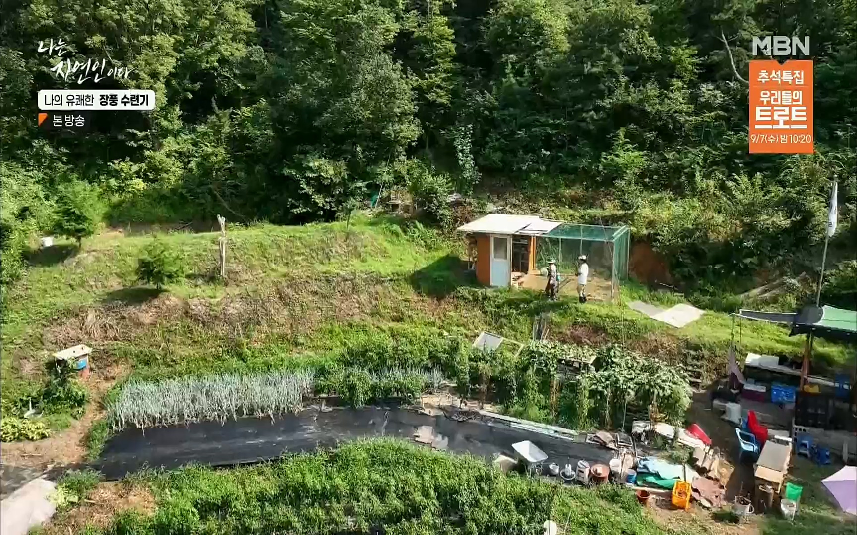 나는 자연인이다.E517.220831p.H264-F1RST.mp4_20220901_200956.366.jpg