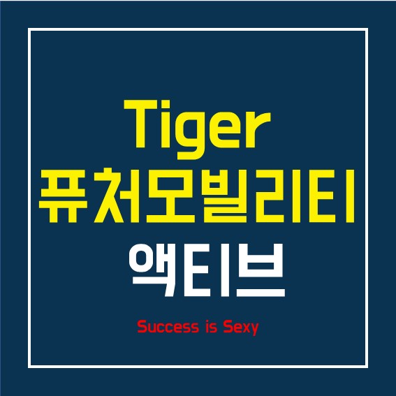  TIGER 퓨처모빌리티액티브 - 분석