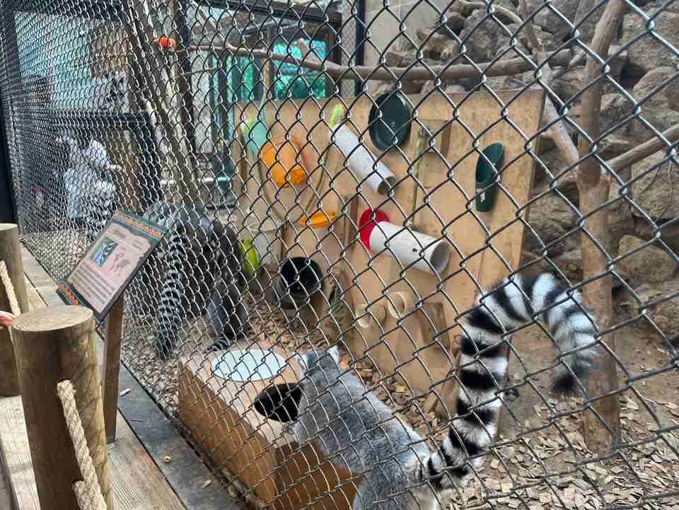 네이처파크