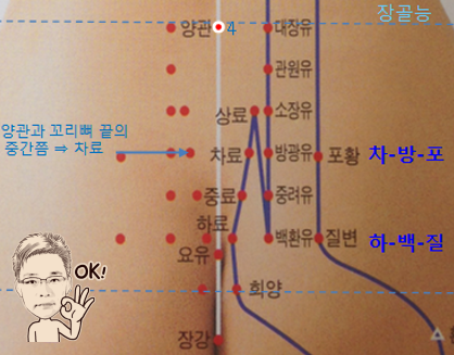 족태양방광경(BL) > BL53 포황 (胞肓) 3