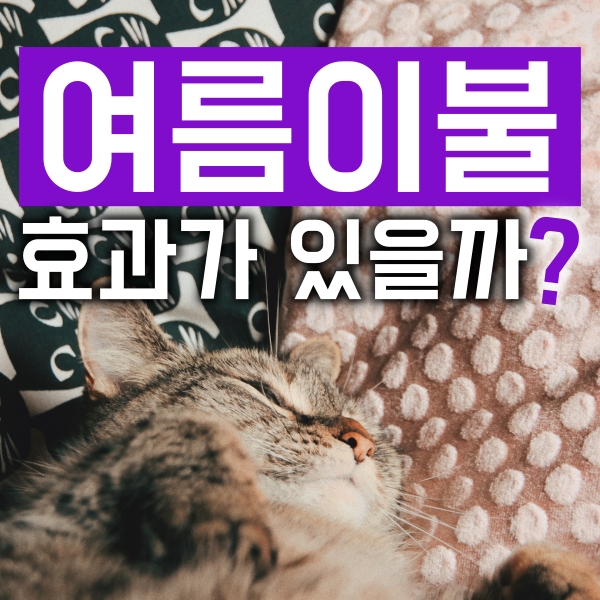  무더운 여름을 식혀 줄 여름이불, 정말 차이가 있을까?