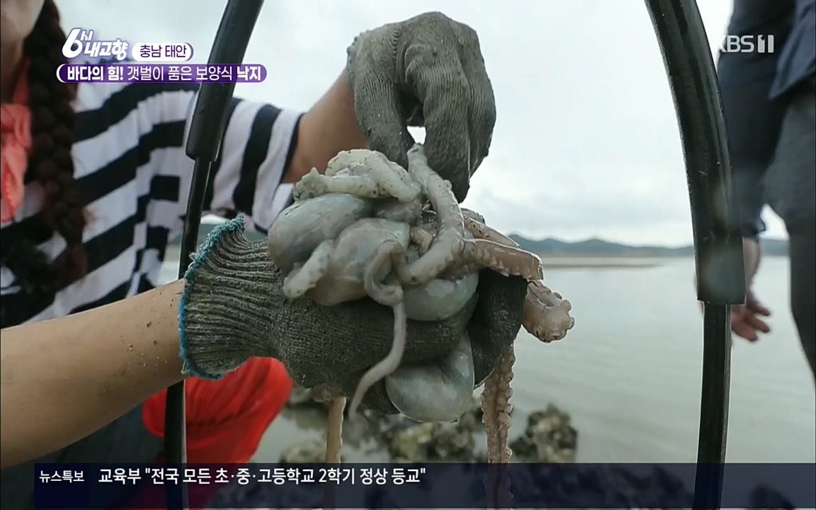 6시 내고향.E7596.220813p.H264-F1RST.mp4_20220814_180542.728.jpg