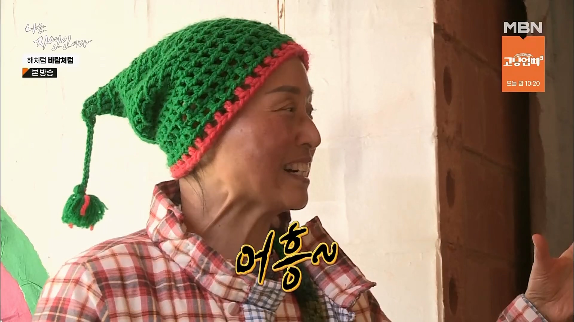나는 자연인이다.E542.230222p.H264-F1RST.mp4_20230223_195846.831.jpg