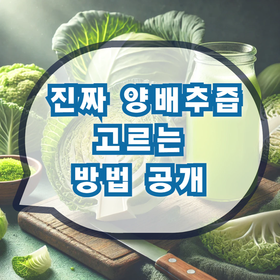 양배추즙의 효능과 복용방법