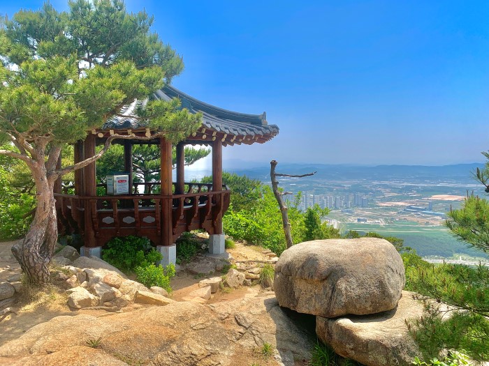 최영장군활터