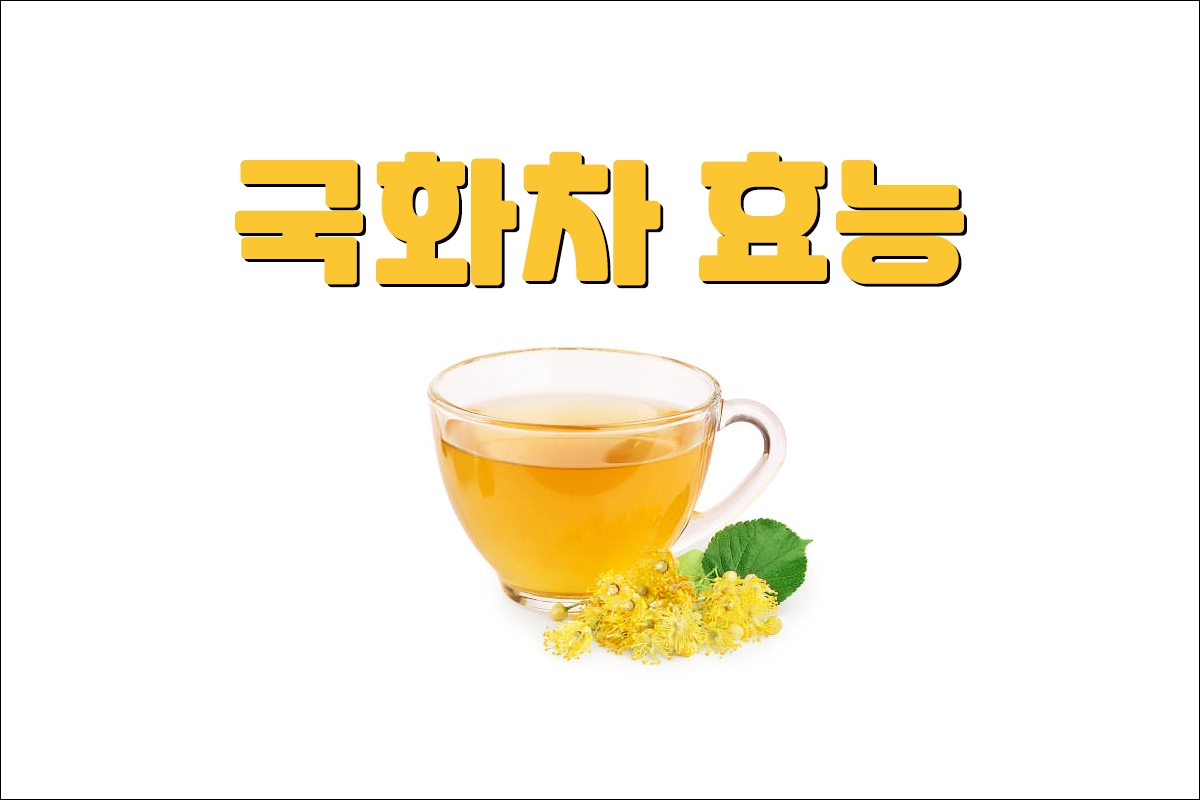 국화차 효능 부작용 주의사항 끓이는 법 체질