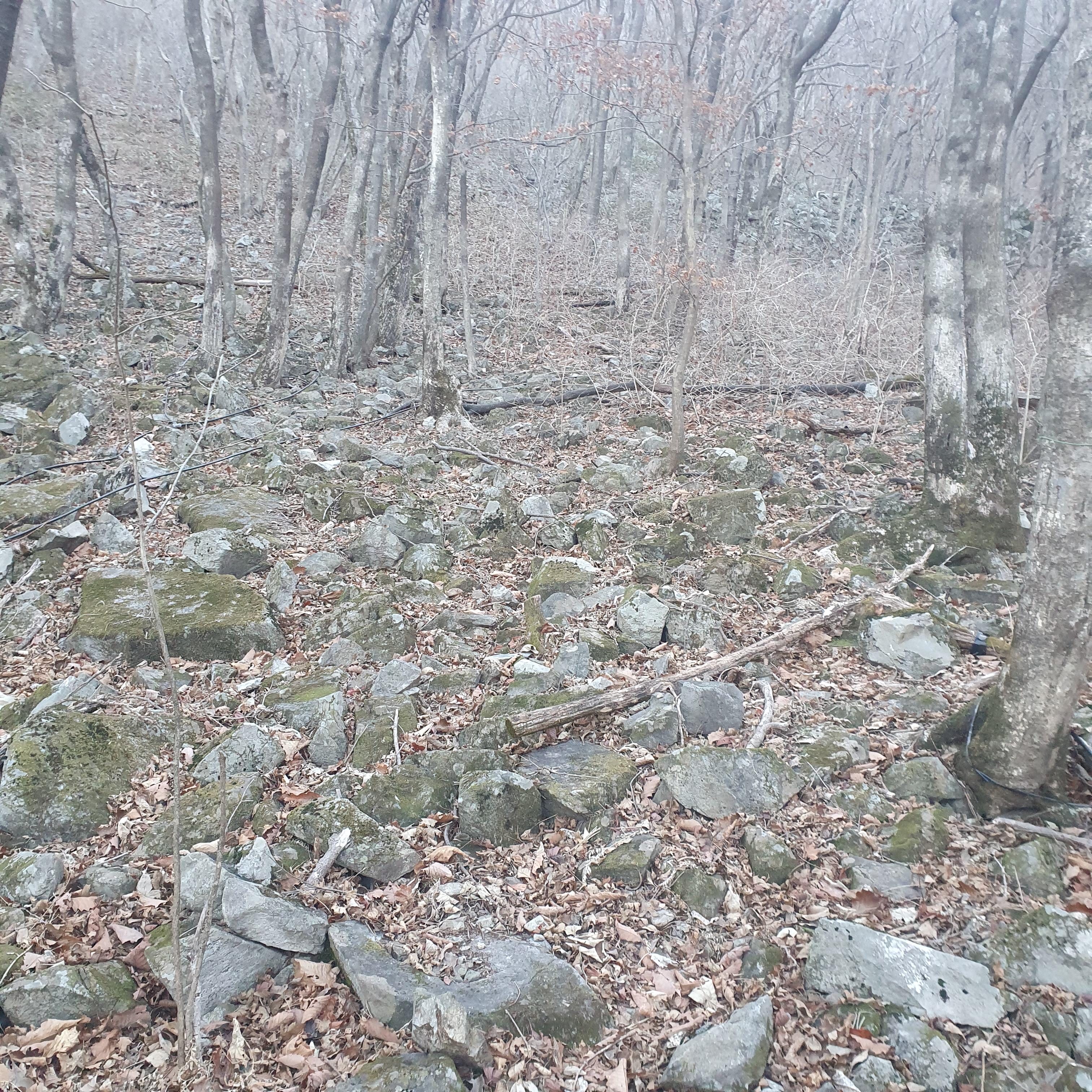 20230128_094350.jpg