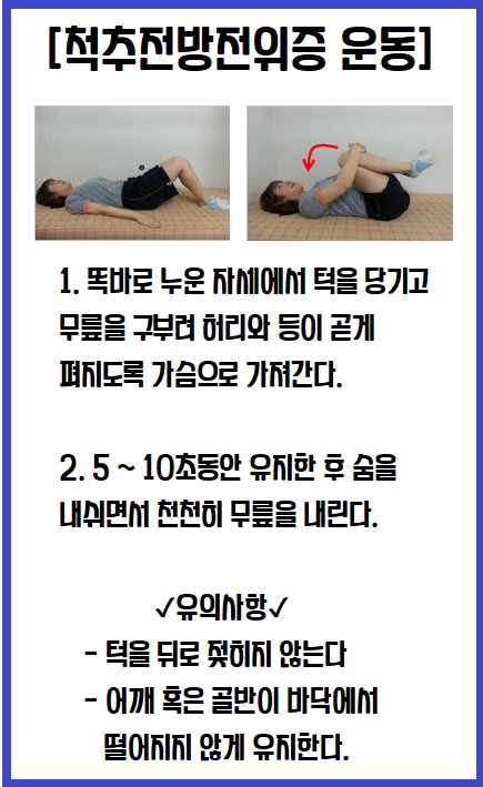 척추전방전위증 운동
