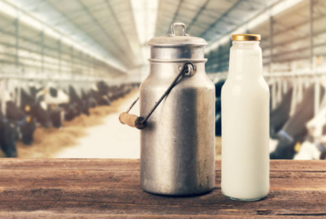 멸균우유와 일반우유 차이