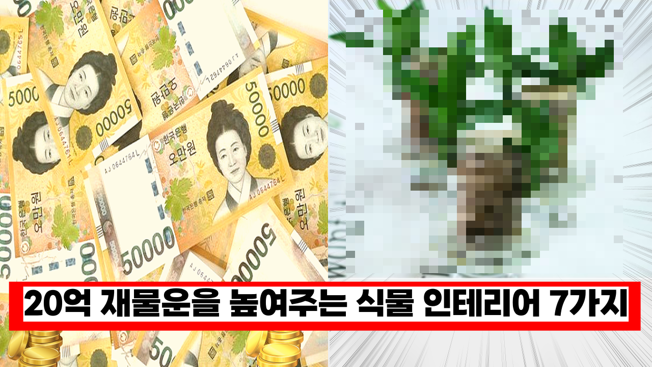  '효과 대박이네...ㅎㄷㄷ' 20억 재물운을 올려 주는 식물 인테리어 7가지