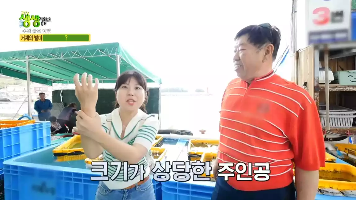위판장에 있는 리포터