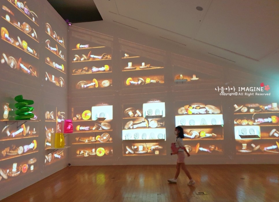 대림미술관 전시#기묘한 통의 만물상