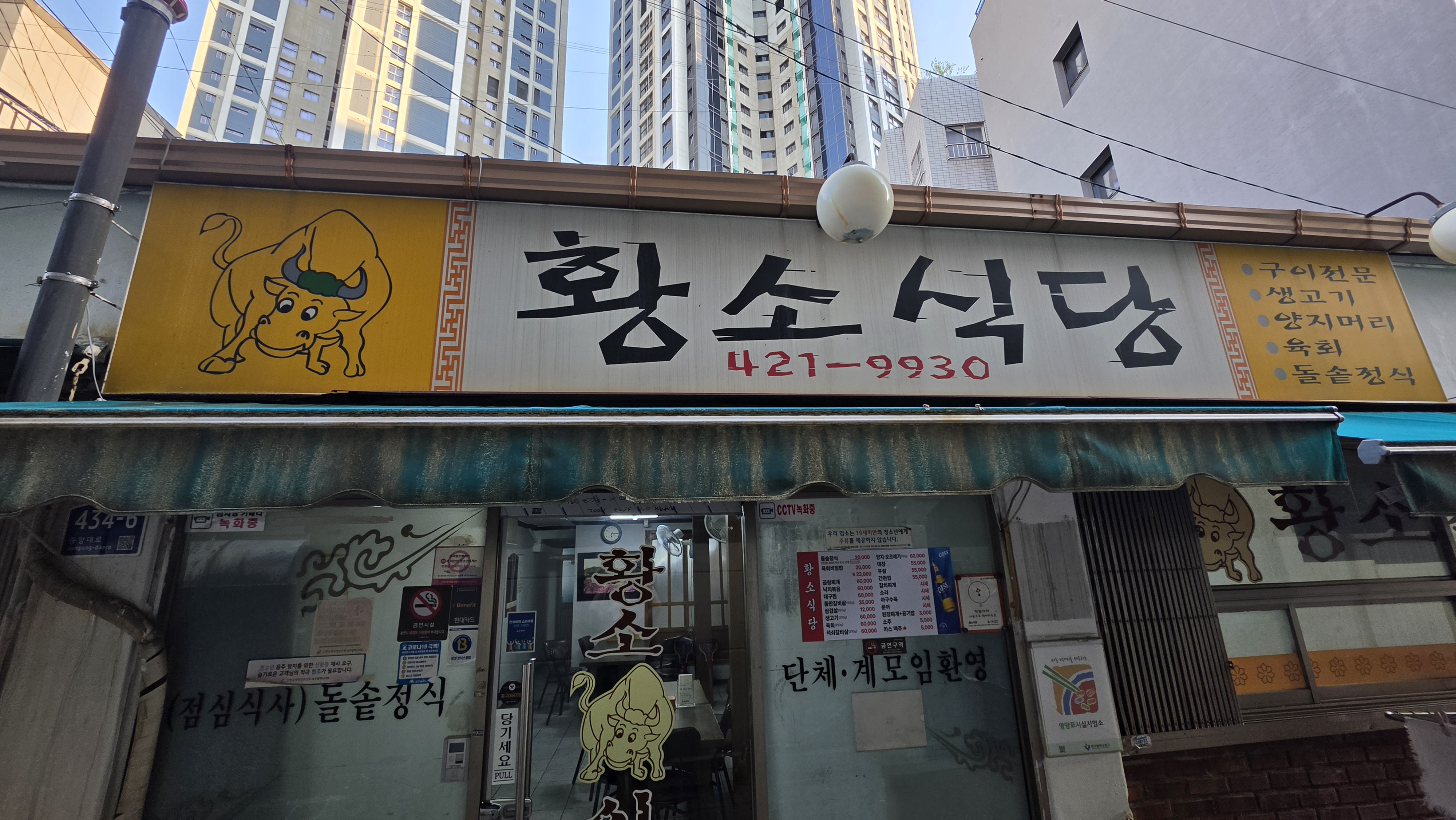 황소 5