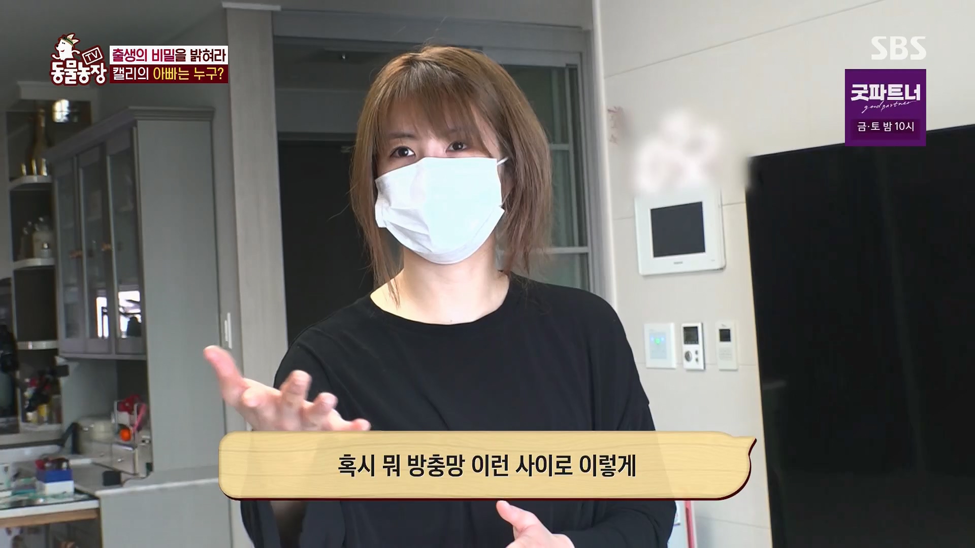 TV 동물농장.E1180.240714p.H264-F1RST.mp4_20240715_201734.200.jpg