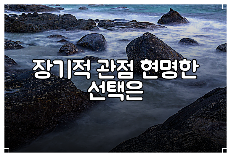 장기적 관점 현명한 선택은