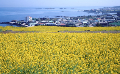 제주도 산방산 용머리