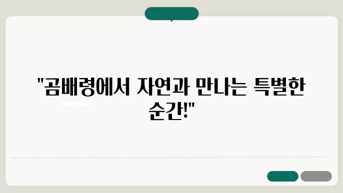 강원 인제 곰배령의 청정자연과 한적한 하산